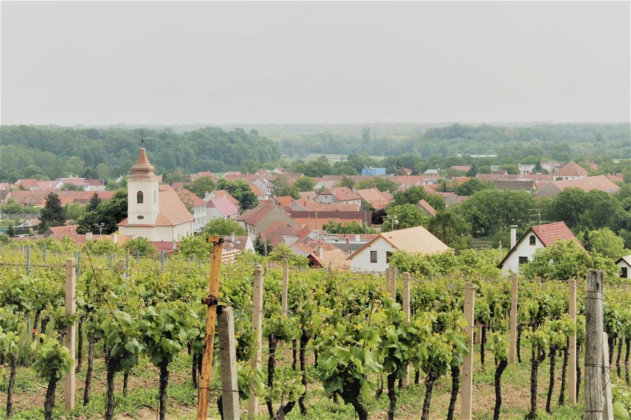 Ubytovani U Lisaka Foxe Villa Bulhary Luaran gambar