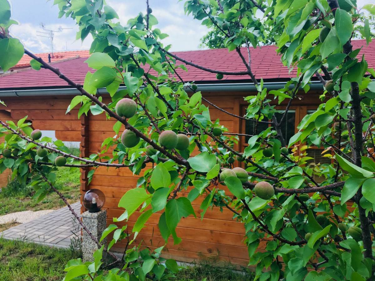 Ubytovani U Lisaka Foxe Villa Bulhary Luaran gambar